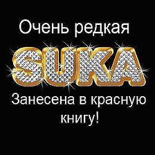 Пейзаж мира Гвинтерхолд, кадр 3
